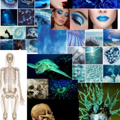 sea creatures mood board