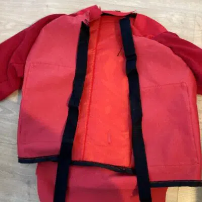 Step 9 Halloween costume