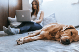 online college courses