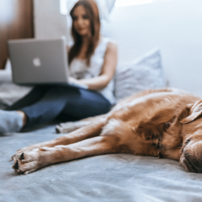 online college courses
