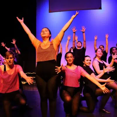 Pippin number