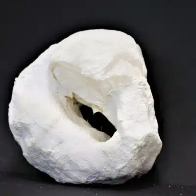 Alicia's sculpture