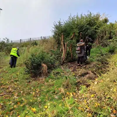 litterpick