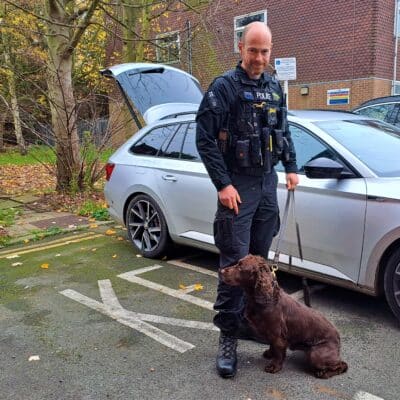 Police dogs