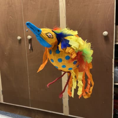 bird