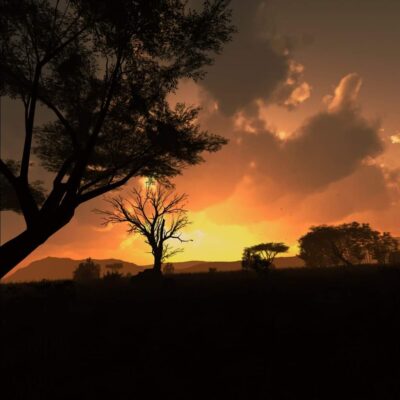 Nature treks - sunset