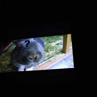 Media students hold cinema screening - documentary