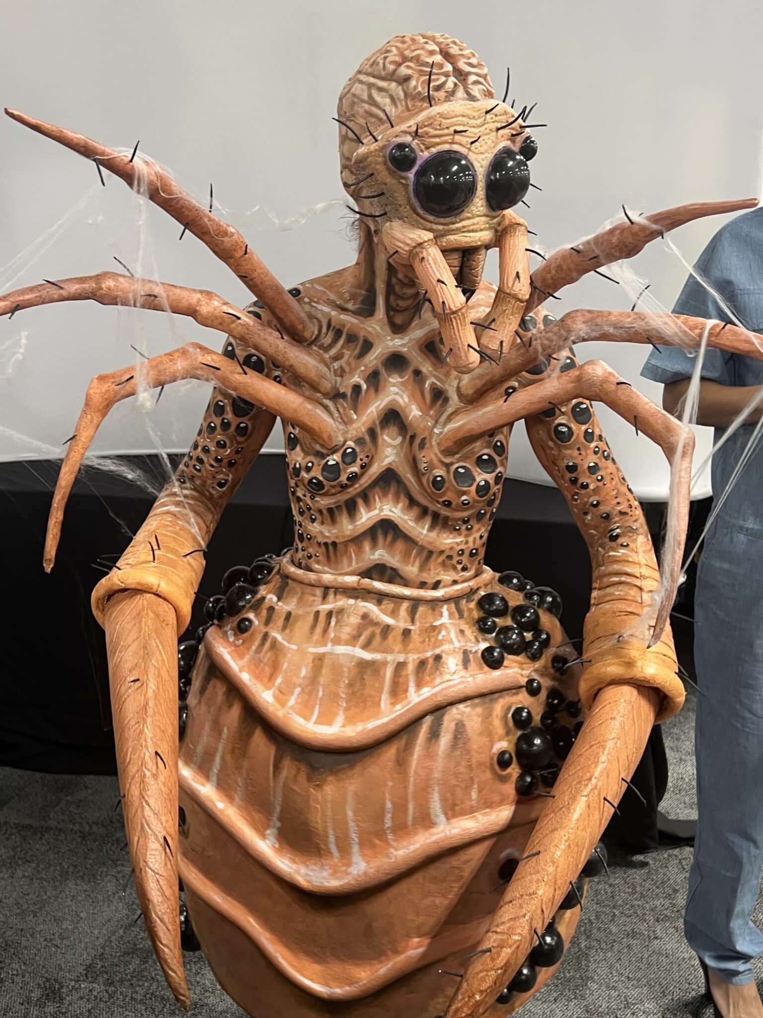spider prosthetic