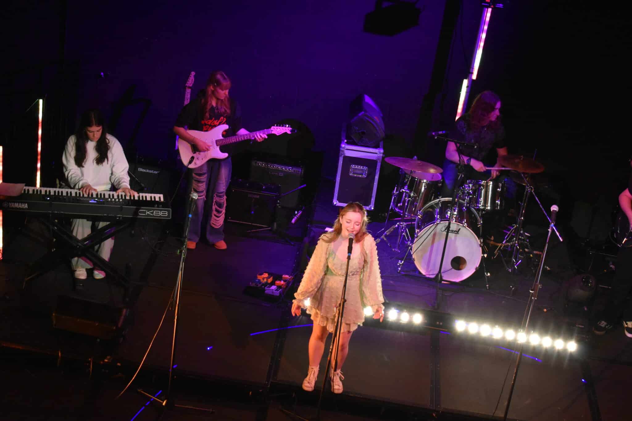 Music students host WillowsFest