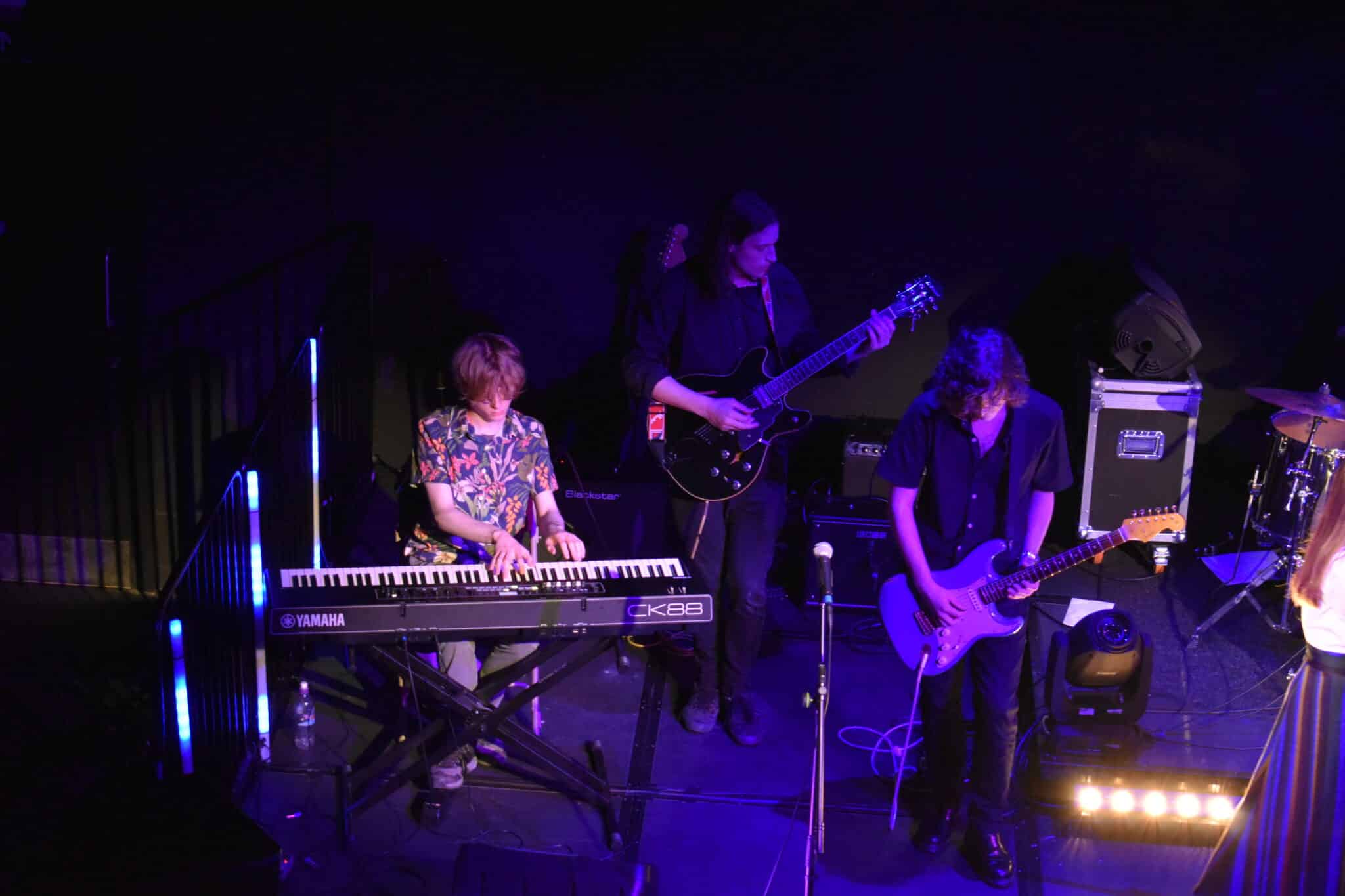 Music students host WillowsFest