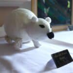 polar bear craft